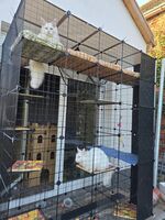 Ferienwohnung in Burg (bei Magdeburg) Bild 15
