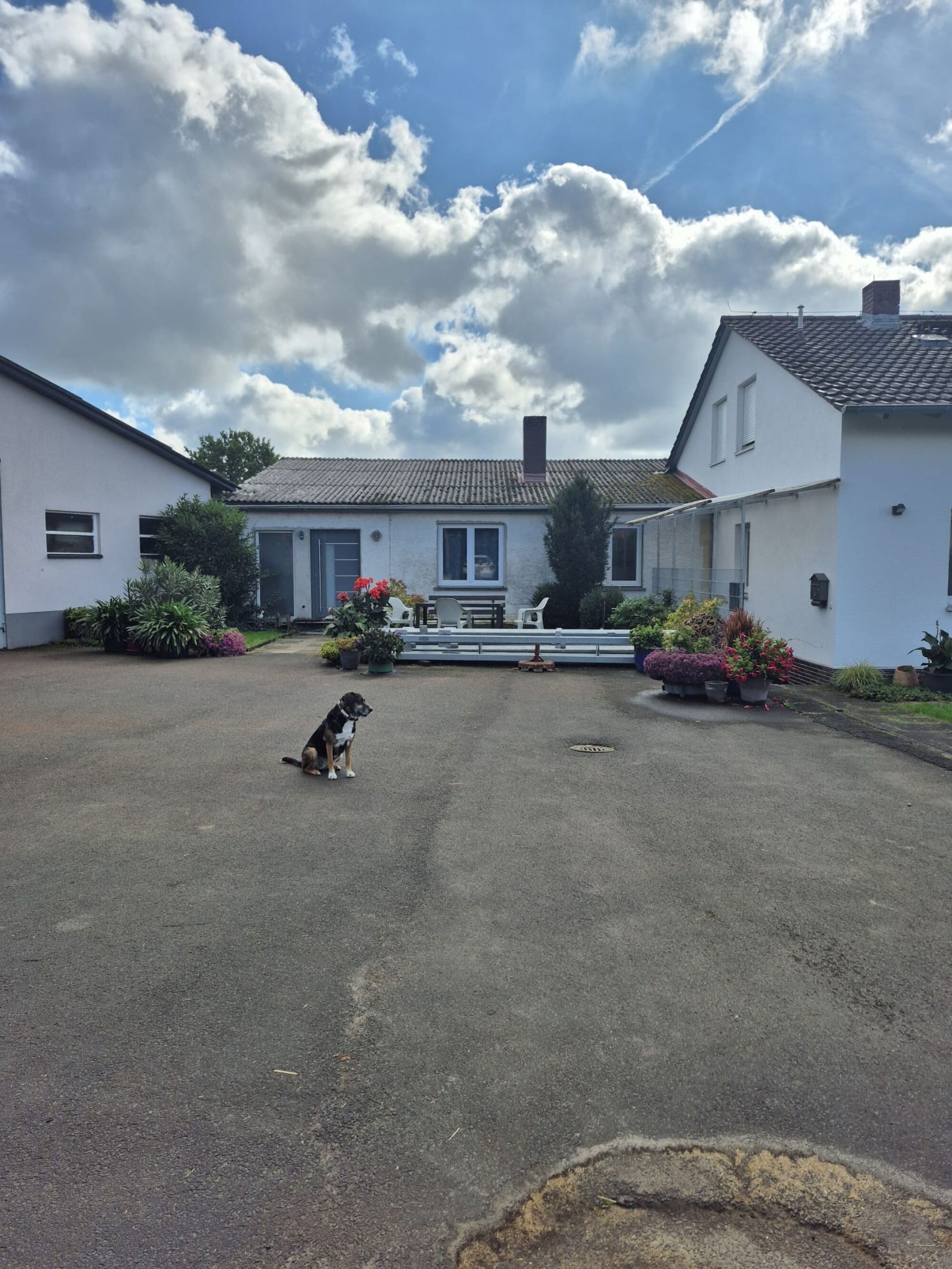 Hof oben am Haus: Parkplätze, auch für LKW