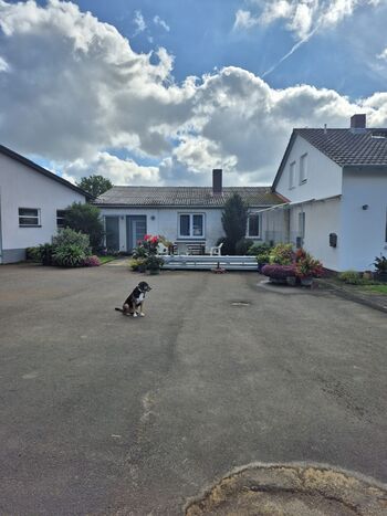 Hof oben am Haus: Parkplätze, auch für LKW