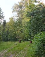 Müllers Ferienhaus Landau Bild 15