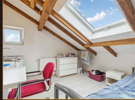 Gästezimmer Kuci Bild 3