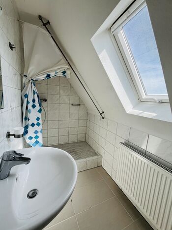 2-Zimmer Apartment: Dusche