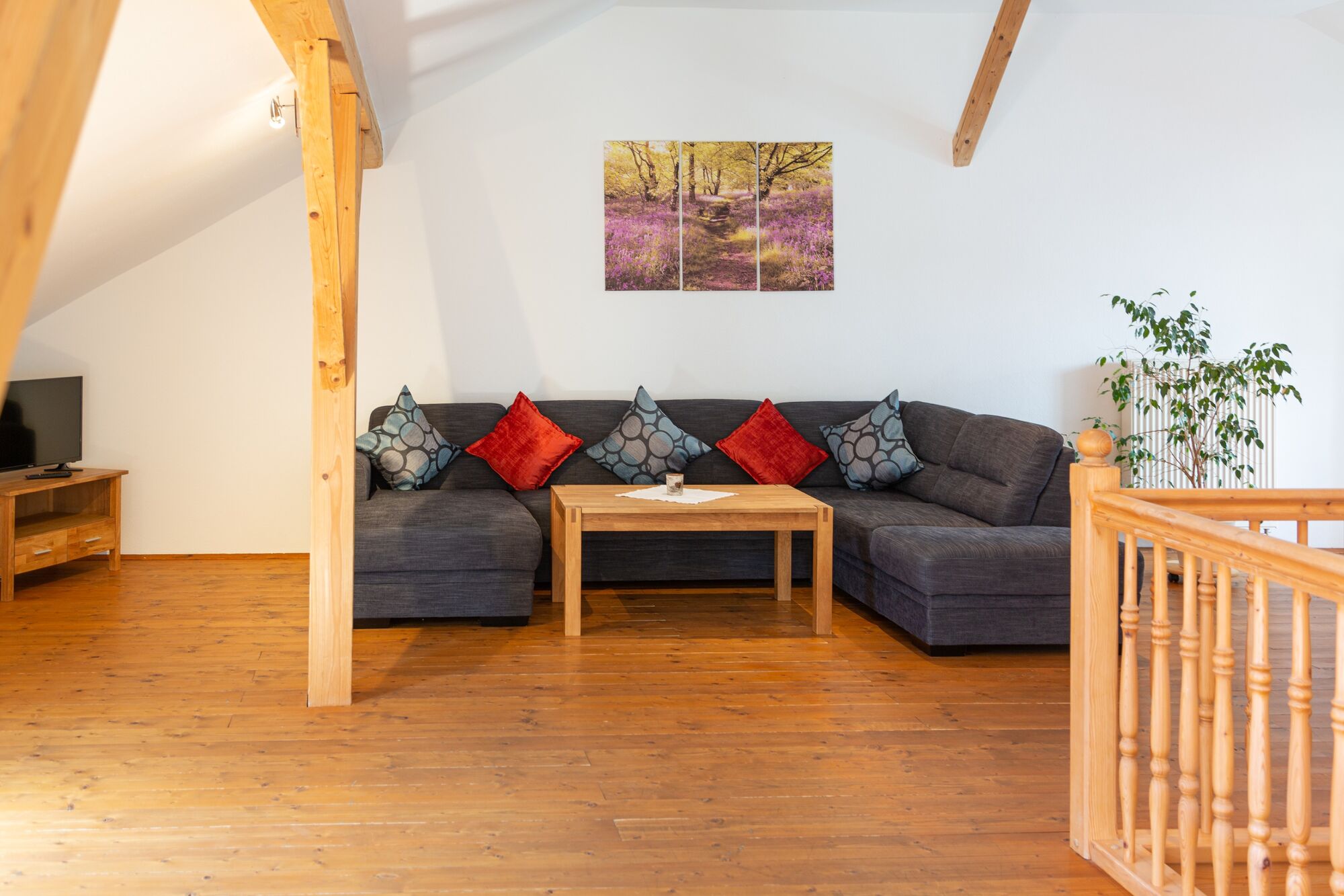 Große Galerie, TV, Couch, DG Zellbachblick
