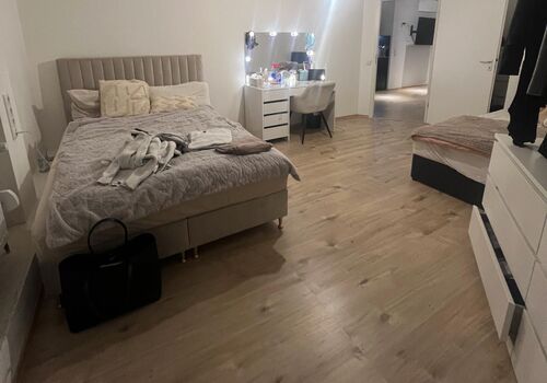 Holiday apartment in Hanau Picture 3