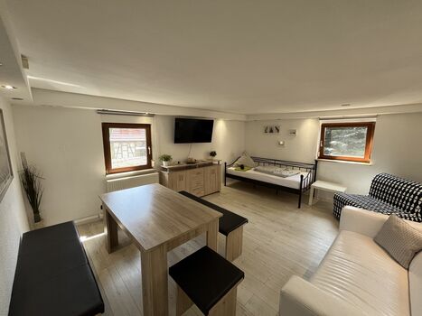 Wohn- Esszimmer mit Schlafcouch