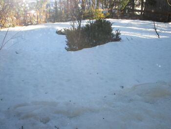 Pension- Gästehaus Sabine Bild 5