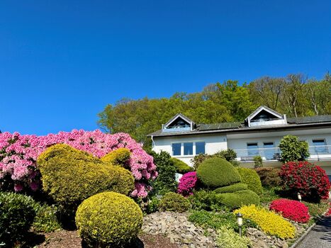 Pension Waldesruh Bild 3