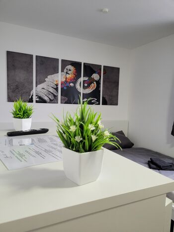 Ferienwohnung in Siek Bild 1