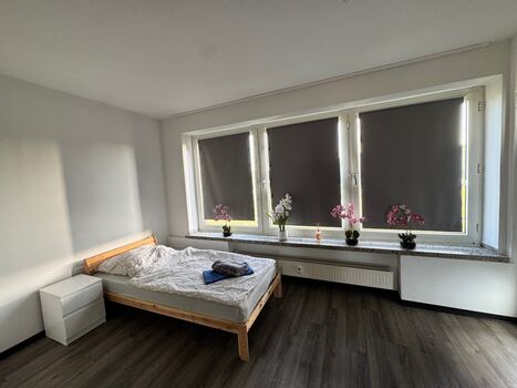 EV-APT18 ✨ top renoviert🧰 komplett ausgestattet!💯 Bild 6
