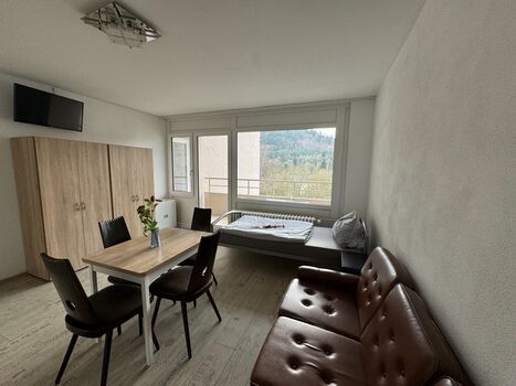 Ferienwohnung in Lahr/Schwarzwald Bild 1