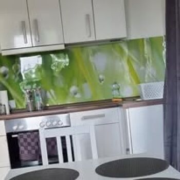 In der Natur EZ/DZ mit eigenem Bad/WC/Küche Bild 1