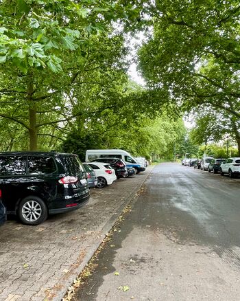 Kostenlose Parkplätze am Mainufer für Sprinter und Pritschenwagen