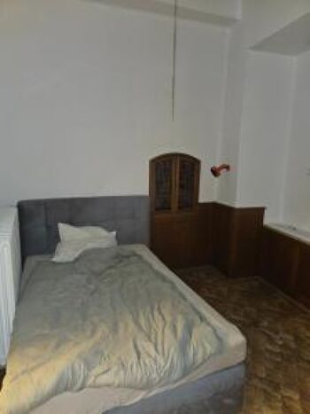 Rattebfänger Lebt Foto 3