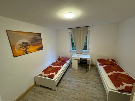 Holiday apartment in Mannheim Picture 3