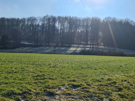 Gäste-Domizil NÄHE WIEHENGEBIRGE BAD ESSEN OT Bild 1