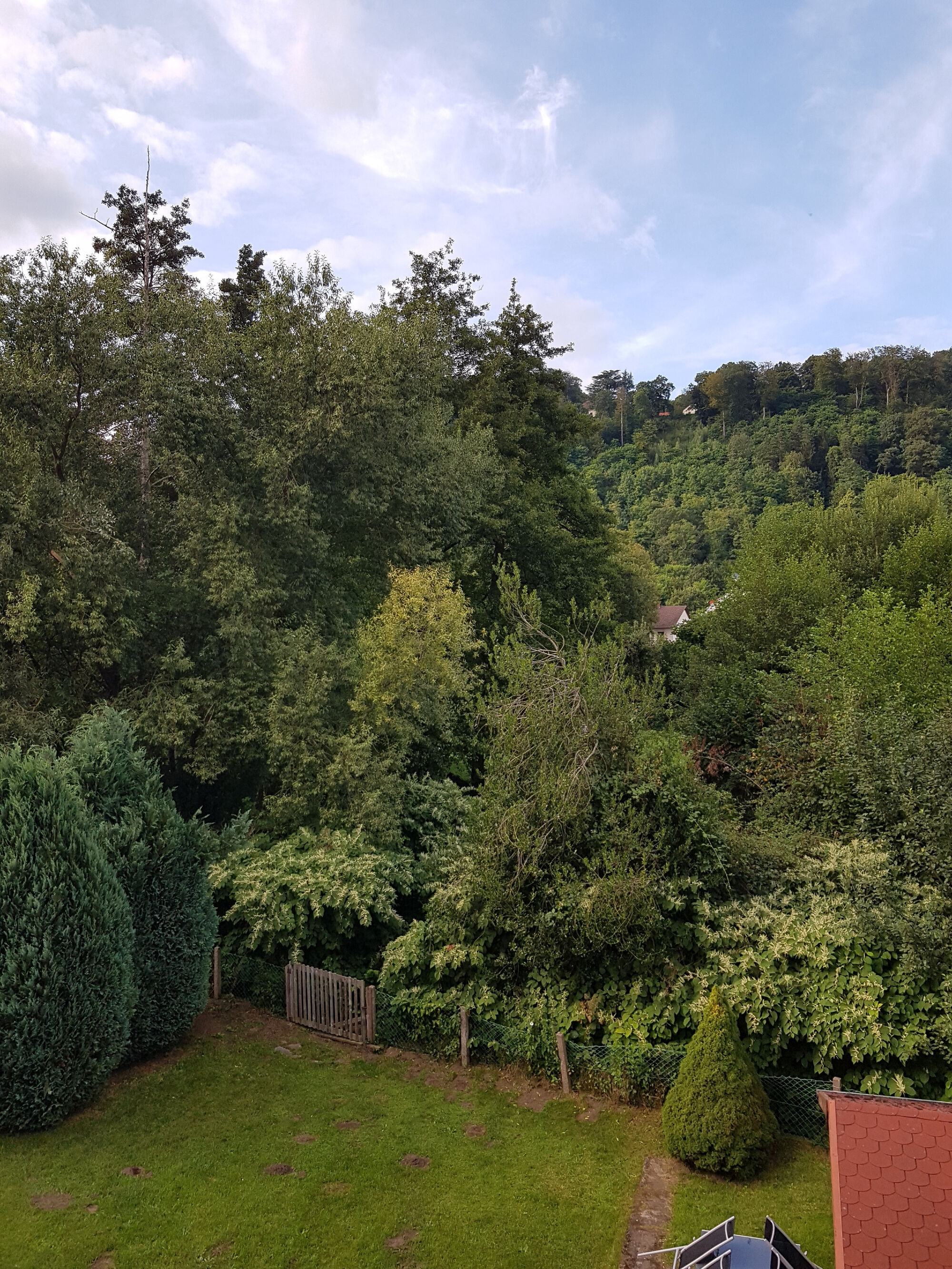 Balkon mit Waldblick