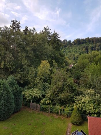 Balkon mit Waldblick
