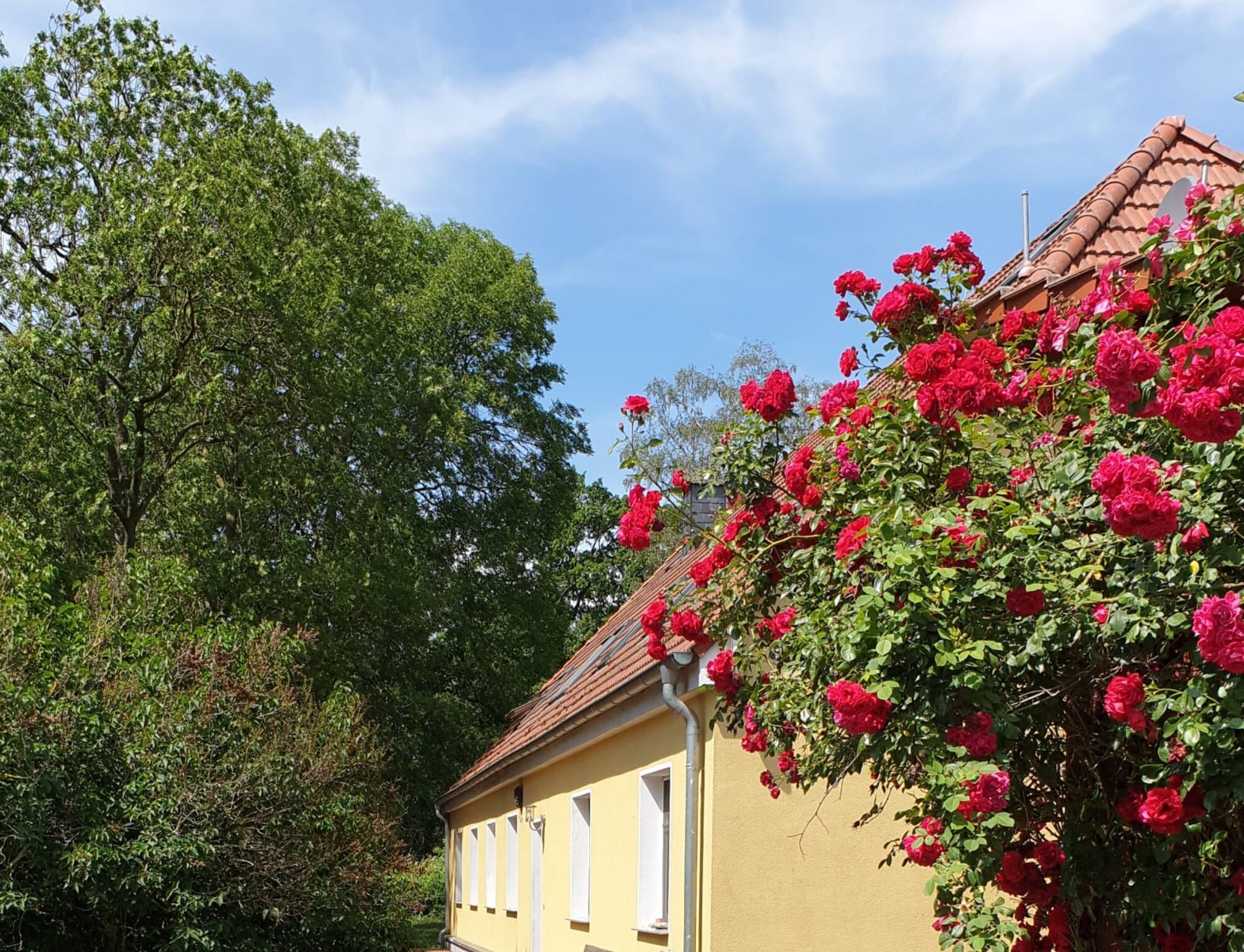 Aussenansicht 3