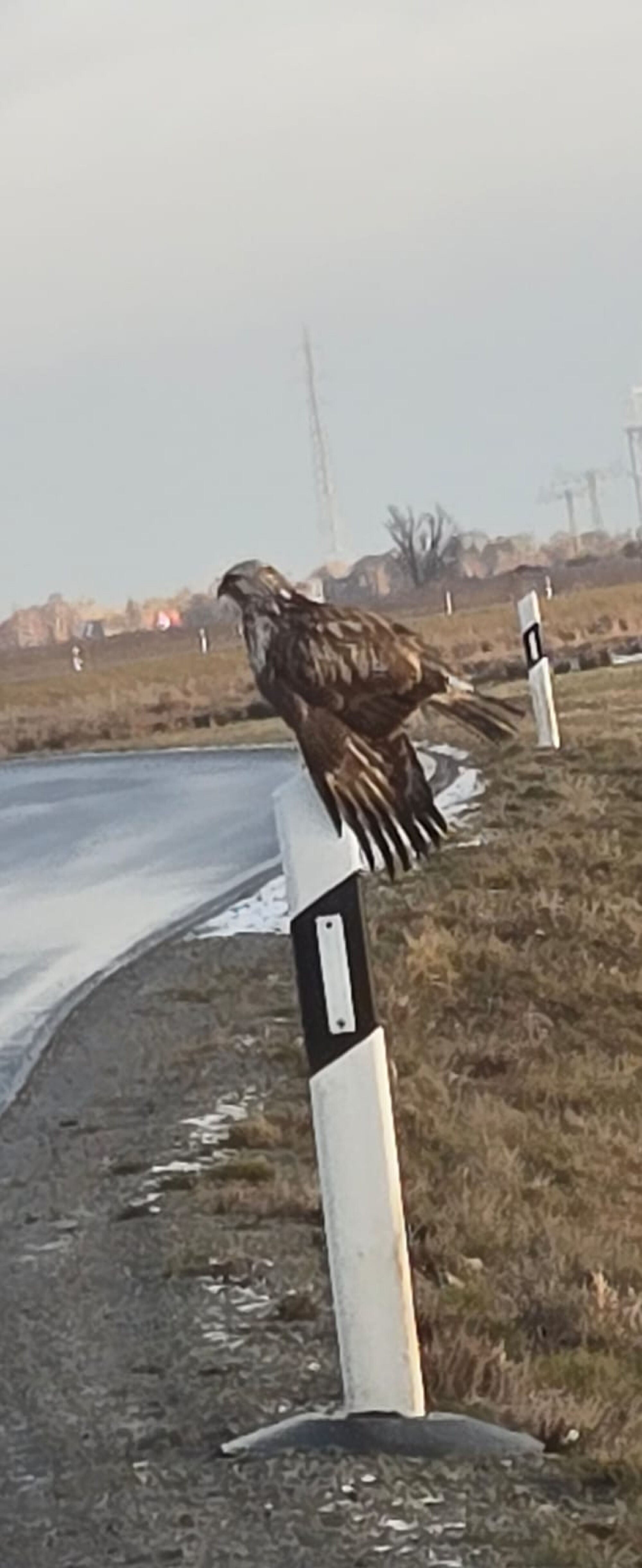 Natur pur erleben 