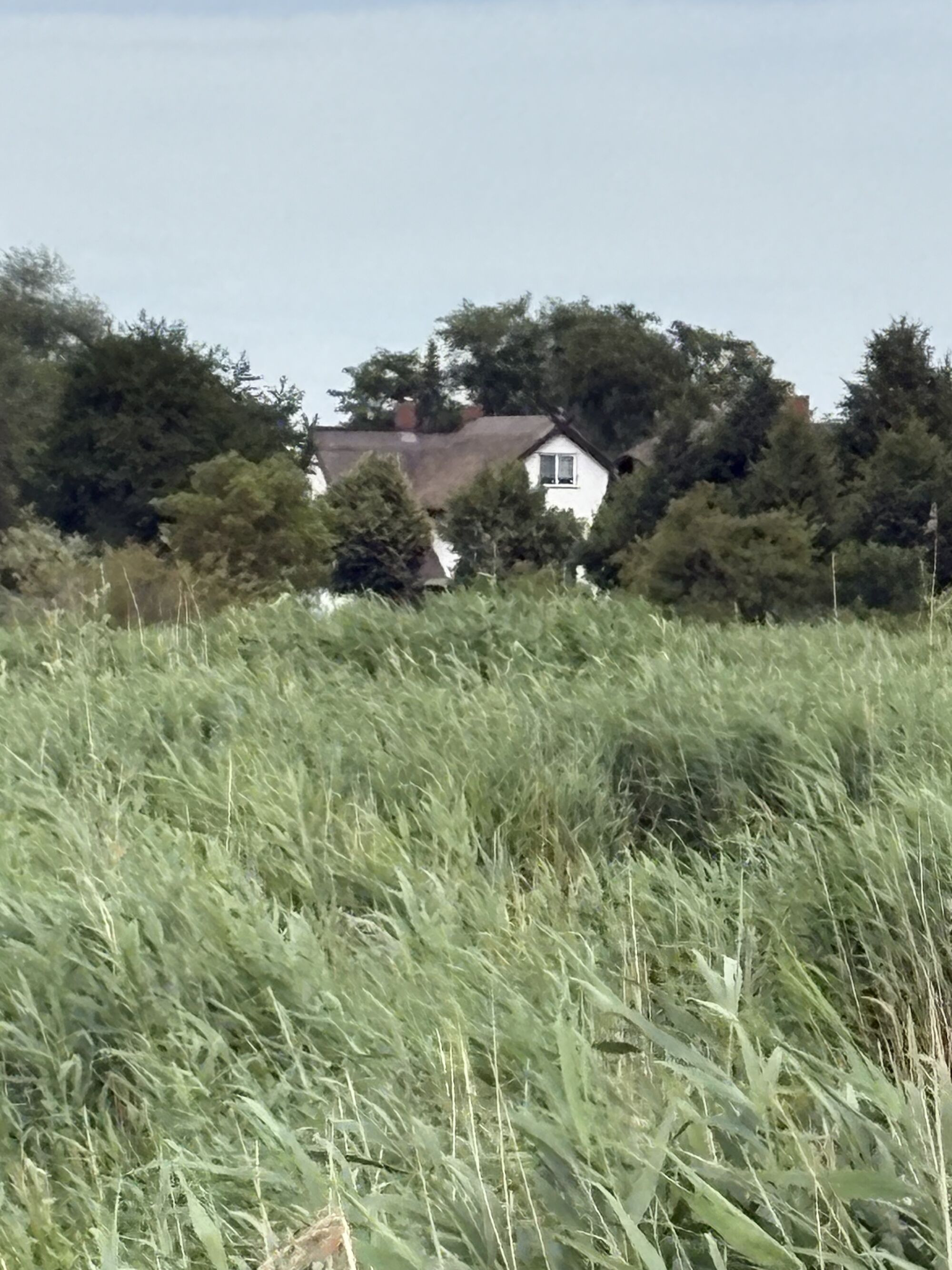 Rundherum Natur