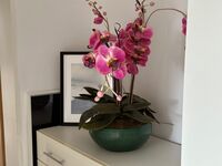 Wohnung Laras Home DG Bild 12