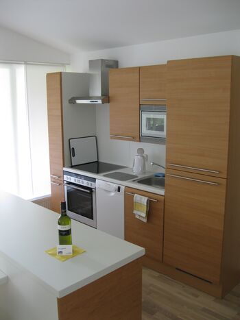 Traunapartment-EZ-Parkplatz-24/7-Balkon-Zentrale Lage-WLA Bild 2