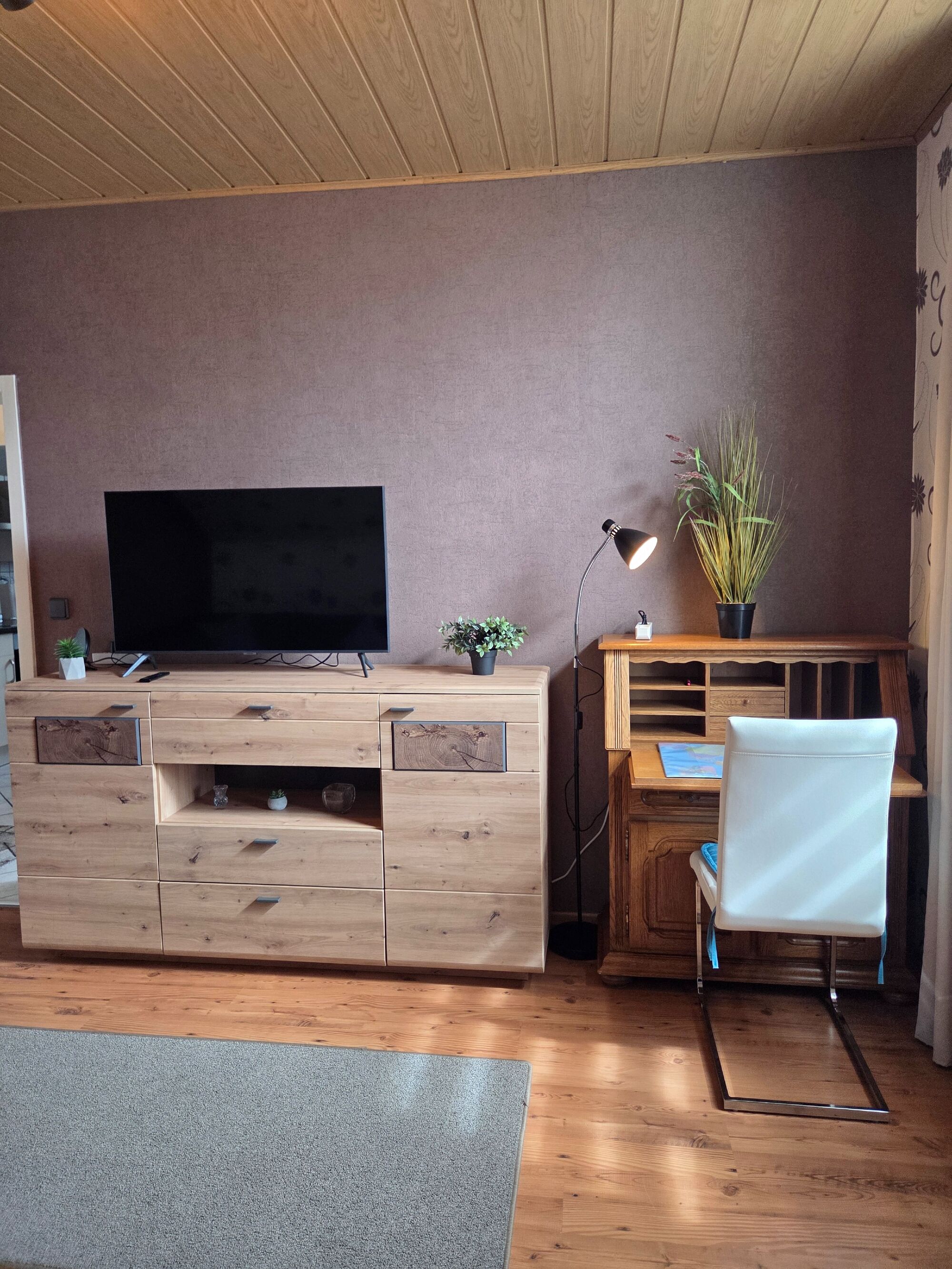 TV und Sekretär 