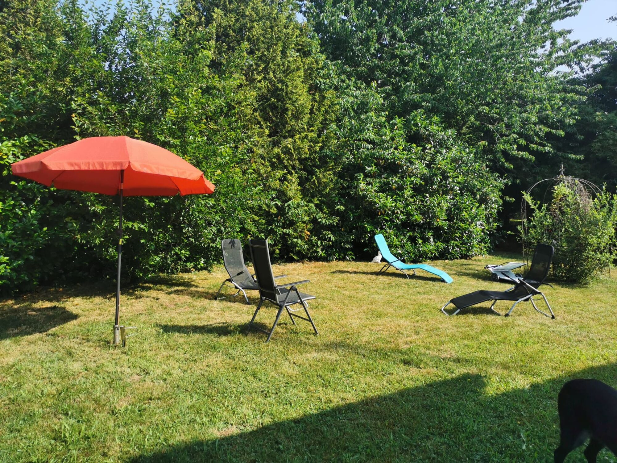 Garten
