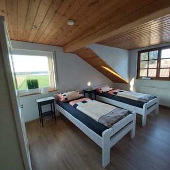 Holiday apartment in Schwegenheim Picture 3