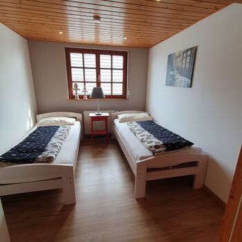 Holiday apartment in Schwegenheim Picture 2