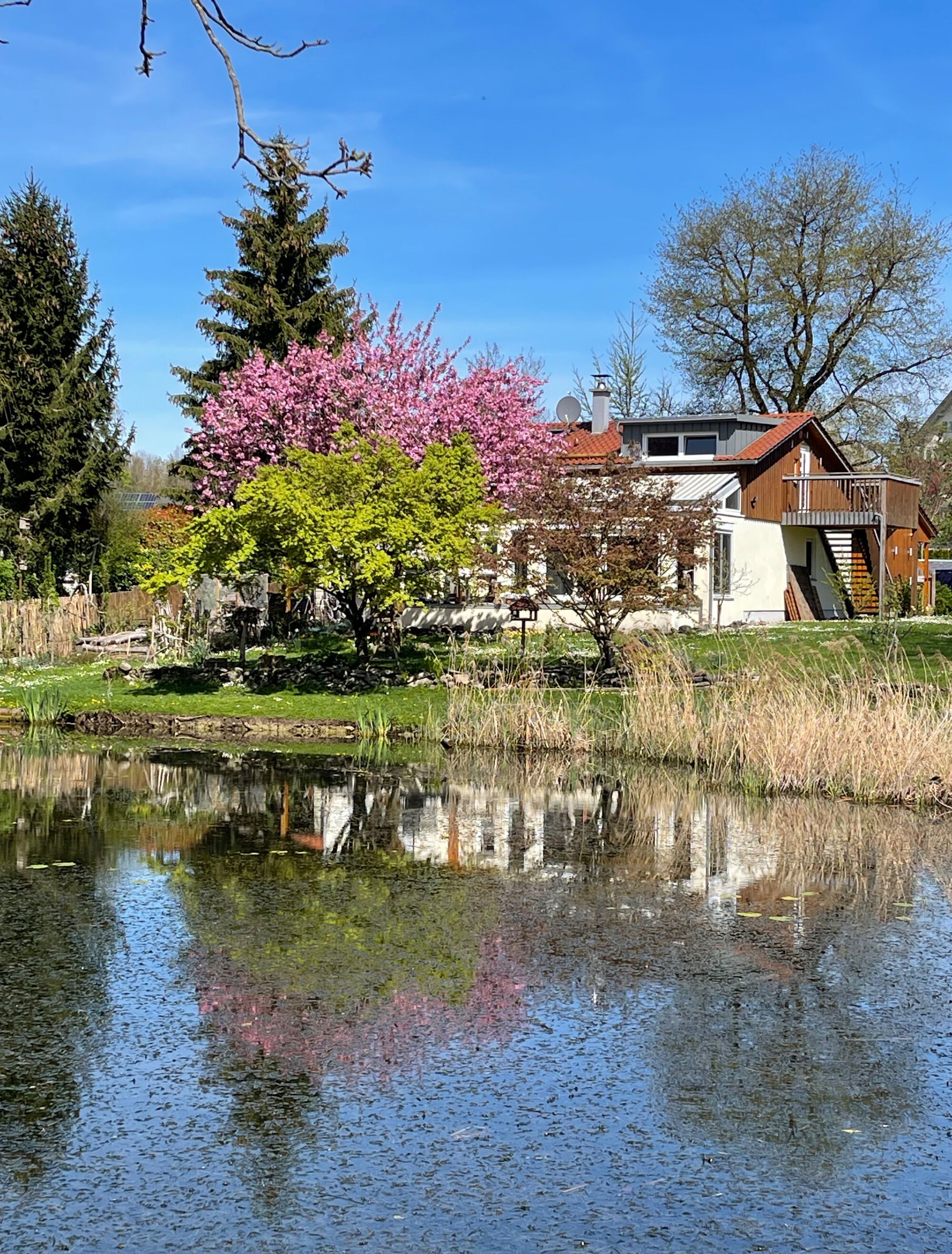 Ferienwohnung Mollenberg