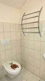 Gästezimmer Hirschen Bild 2