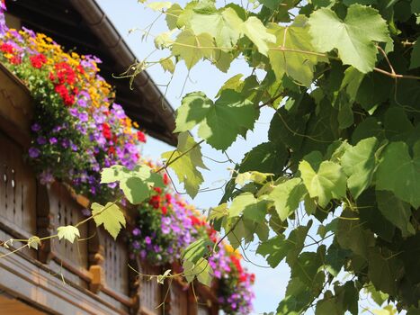 Pension zum Krug Bild 2