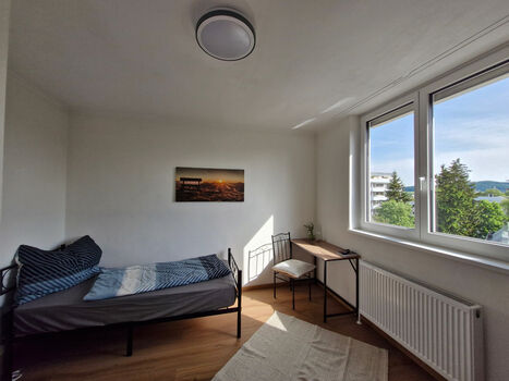 Wohn-Schlafzimmer-2