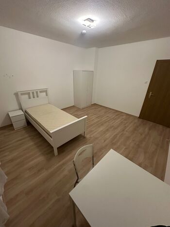 Room Palast