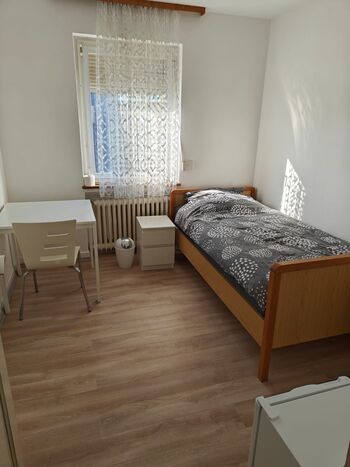 Room Palast