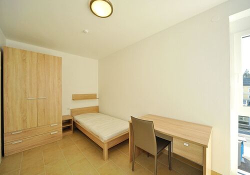 Pension in Chemnitz Picture 5