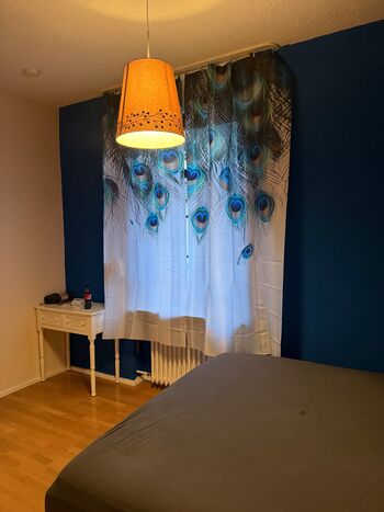 Haus M in Köln Sürth Bild 1