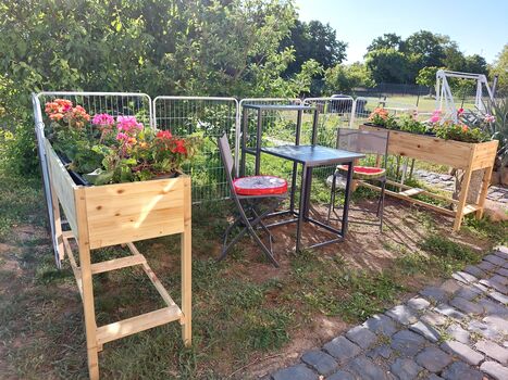 Unterkunft Havel-Biene Bild 1