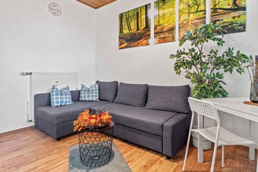 HomeRent in Apolda, Porstendorf und Umgebung Bild 2