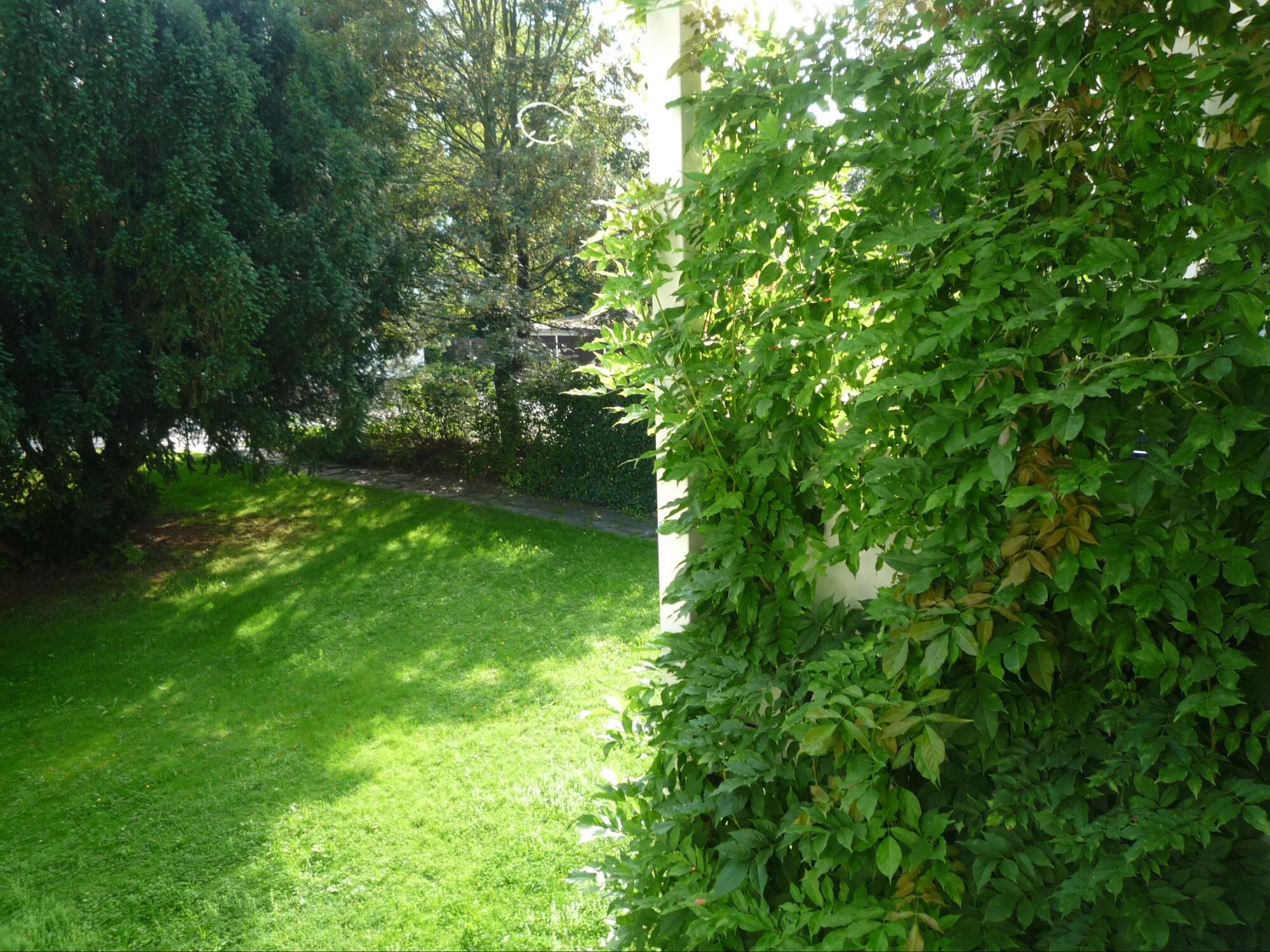 Blick aus dem Fenster