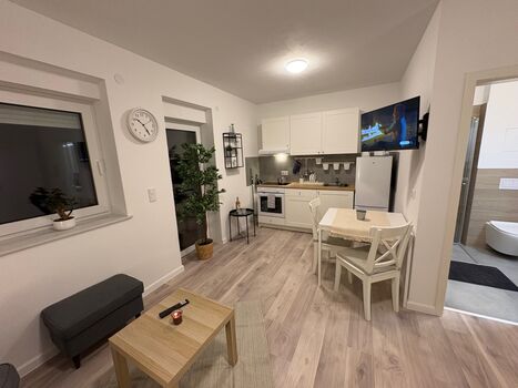 Möbliert/Furnished 1-Zimmer Apartment in Dresden-Weixdorf Bild 3