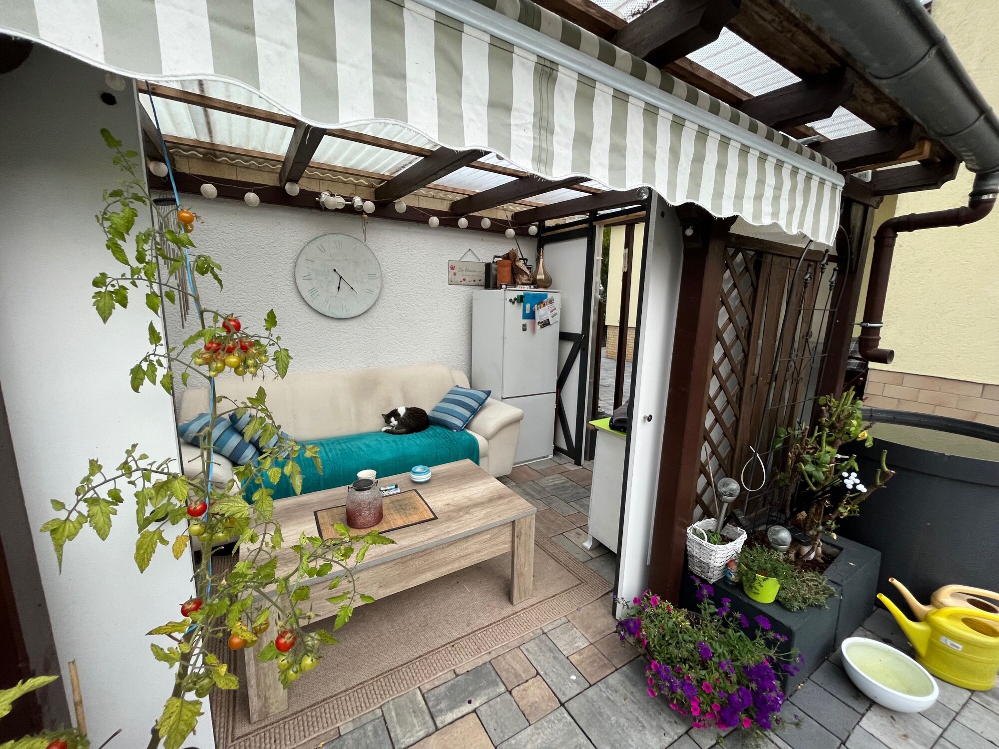 Garten-Laube