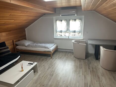 Helles und großzügiges Wohnzimmer mit Schlafcouch, Einzelbett, TV und Essbereich.