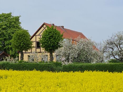 Wohnung Groppler Bild 1