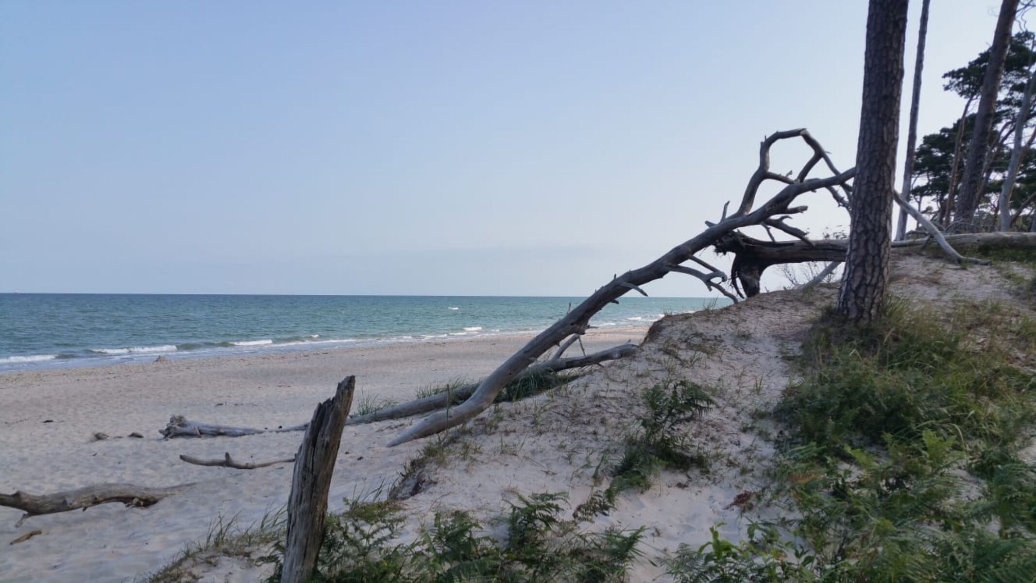 Weststrand in ca. 4 km