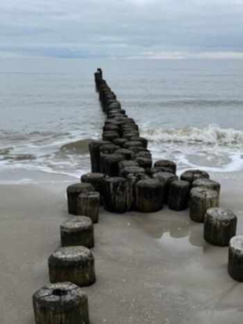 Ostseestrand 