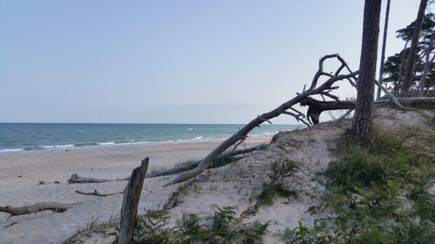 Weststrand in ca. 4 km