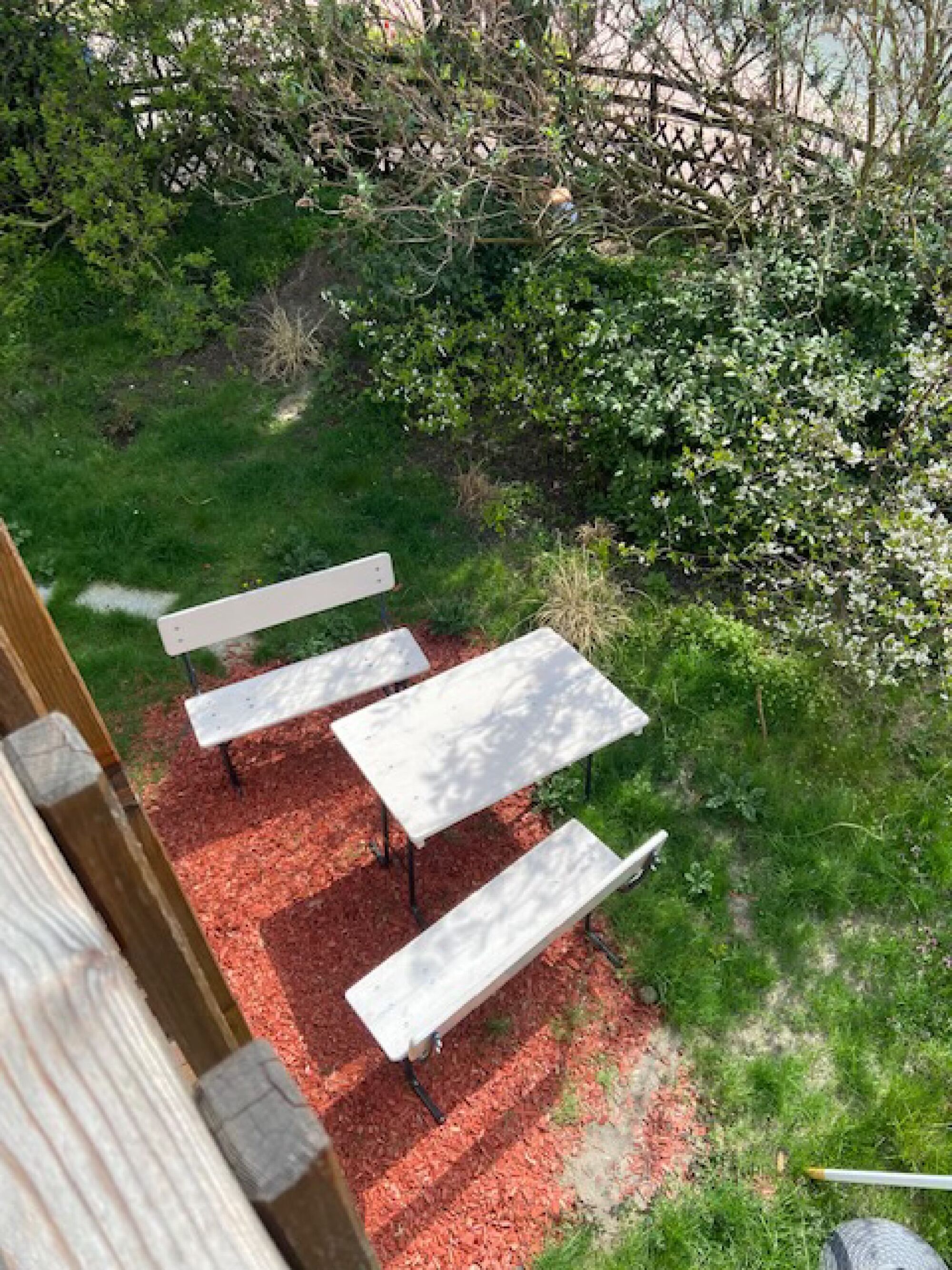 Blick von der Küche auf den Garten