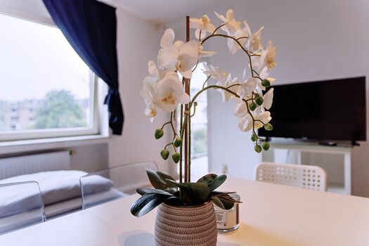 Ferienwohnung in Krefeld Bild 3